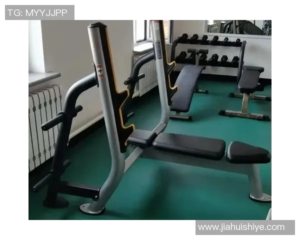 全面解析健身器材的种类选择与使用技巧，助力打造理想身形