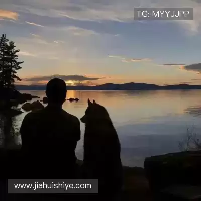 谢丞举